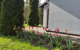 Domek z ogrodem